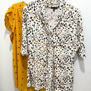Pair of 2 Pretty Lightweight Blouses, Size XL